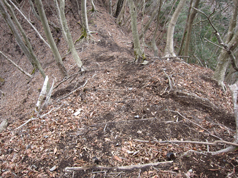 20190205hike (73)